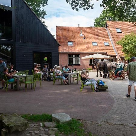 Hoeve Springendal Ootmarsum Εξωτερικό φωτογραφία