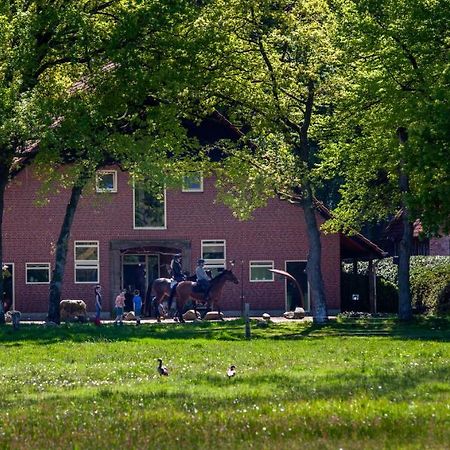 Hoeve Springendal Ootmarsum Εξωτερικό φωτογραφία