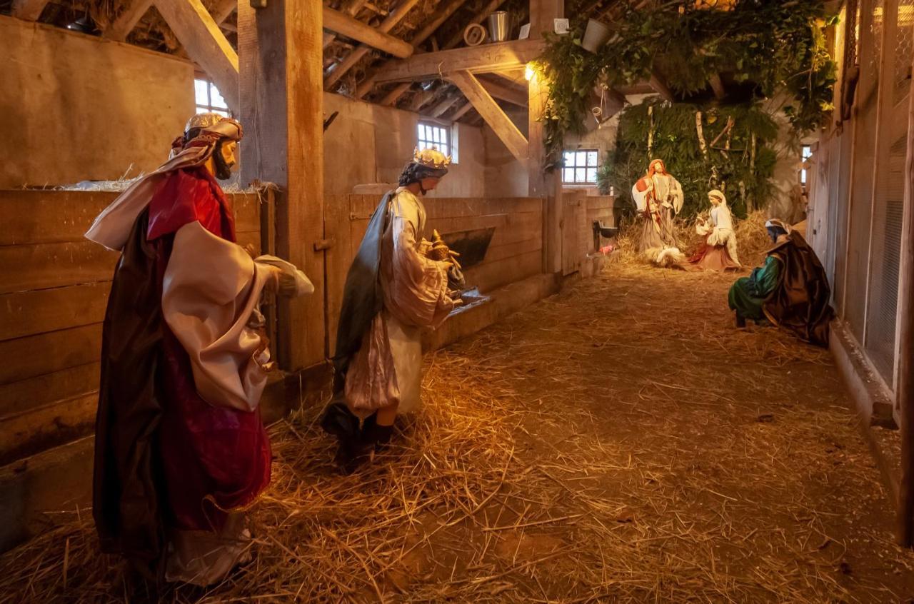 Hoeve Springendal Ootmarsum Εξωτερικό φωτογραφία