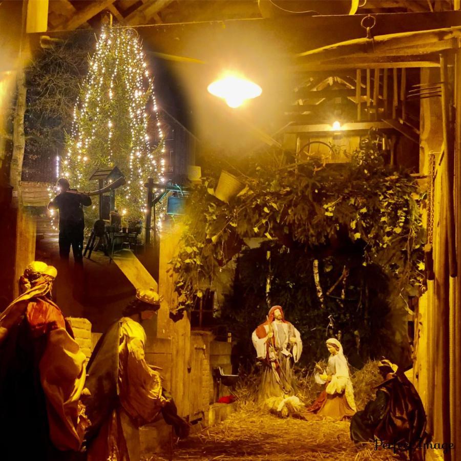 Hoeve Springendal Ootmarsum Εξωτερικό φωτογραφία