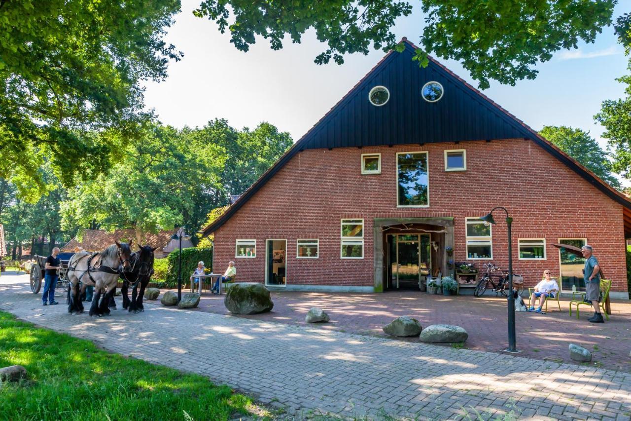 Hoeve Springendal Ootmarsum Εξωτερικό φωτογραφία