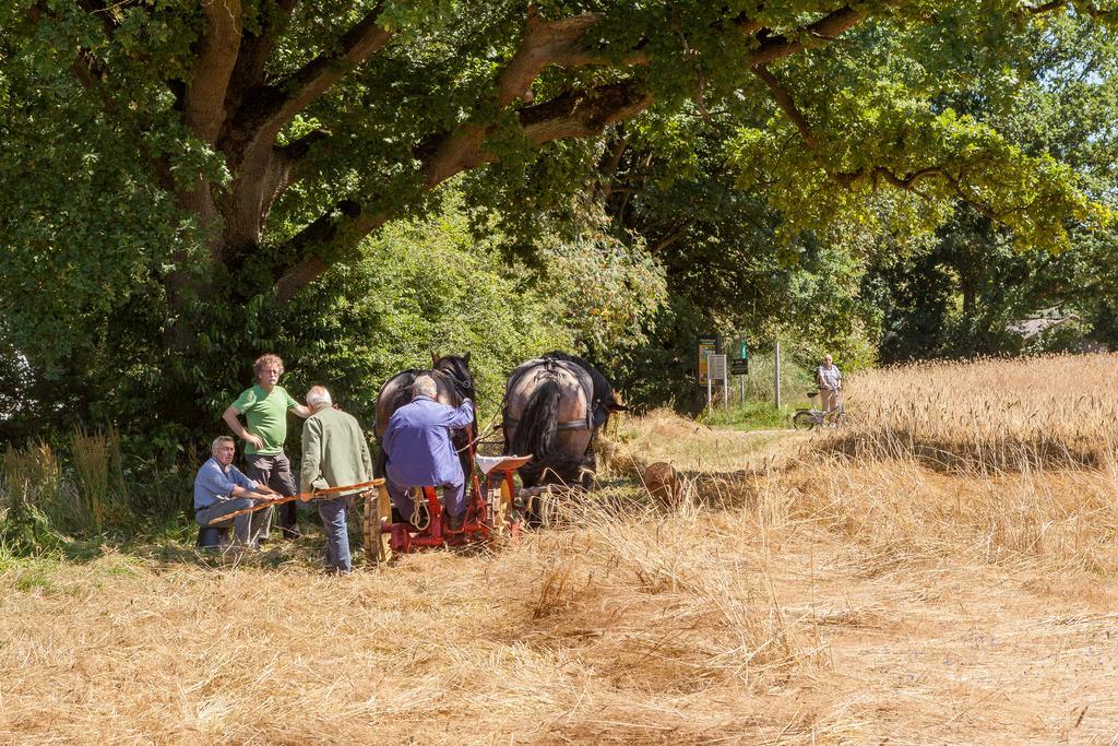 Hoeve Springendal Ootmarsum Εξωτερικό φωτογραφία