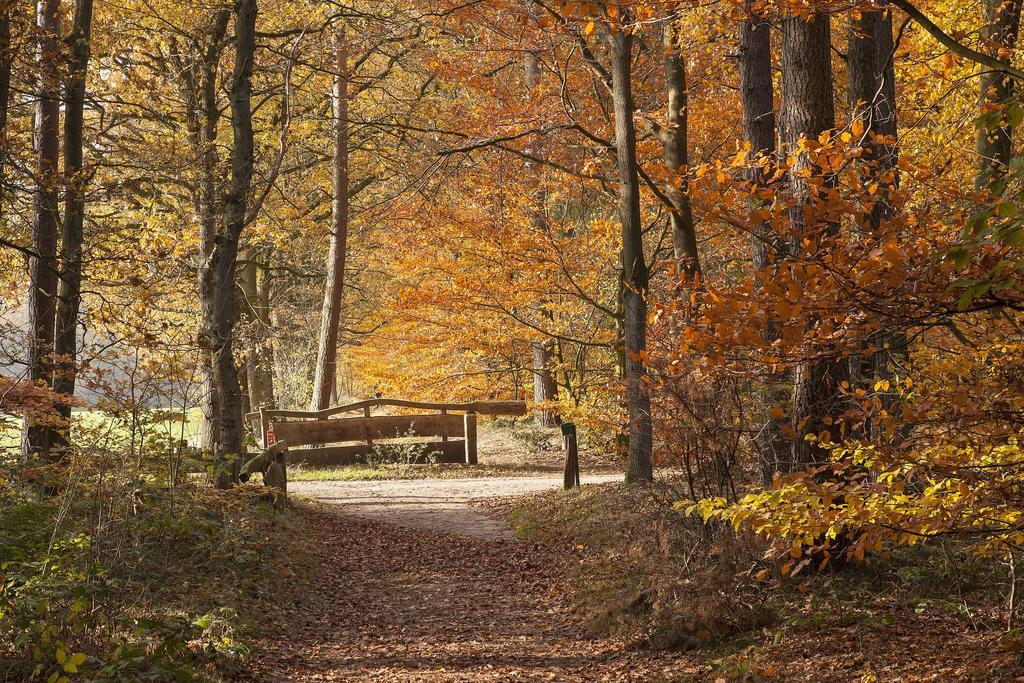 Hoeve Springendal Ootmarsum Εξωτερικό φωτογραφία