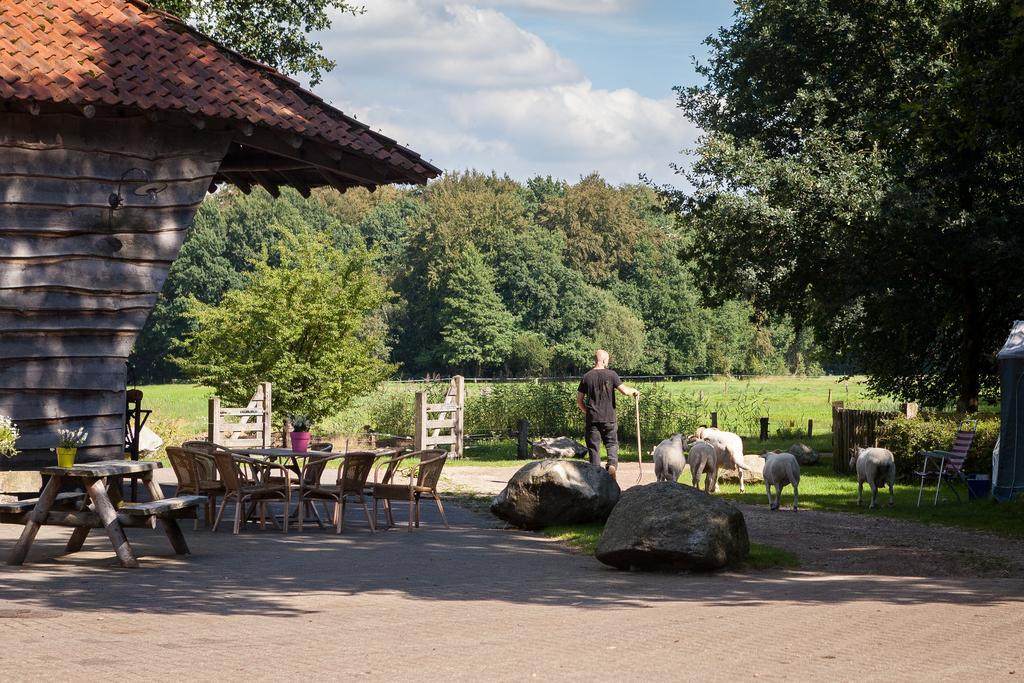 Hoeve Springendal Ootmarsum Εξωτερικό φωτογραφία