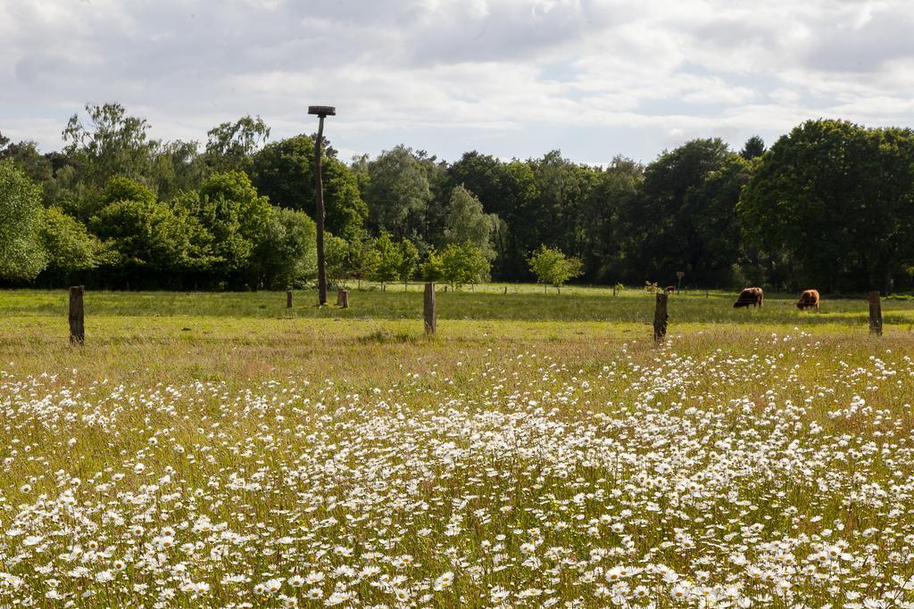 Hoeve Springendal Ootmarsum Εξωτερικό φωτογραφία