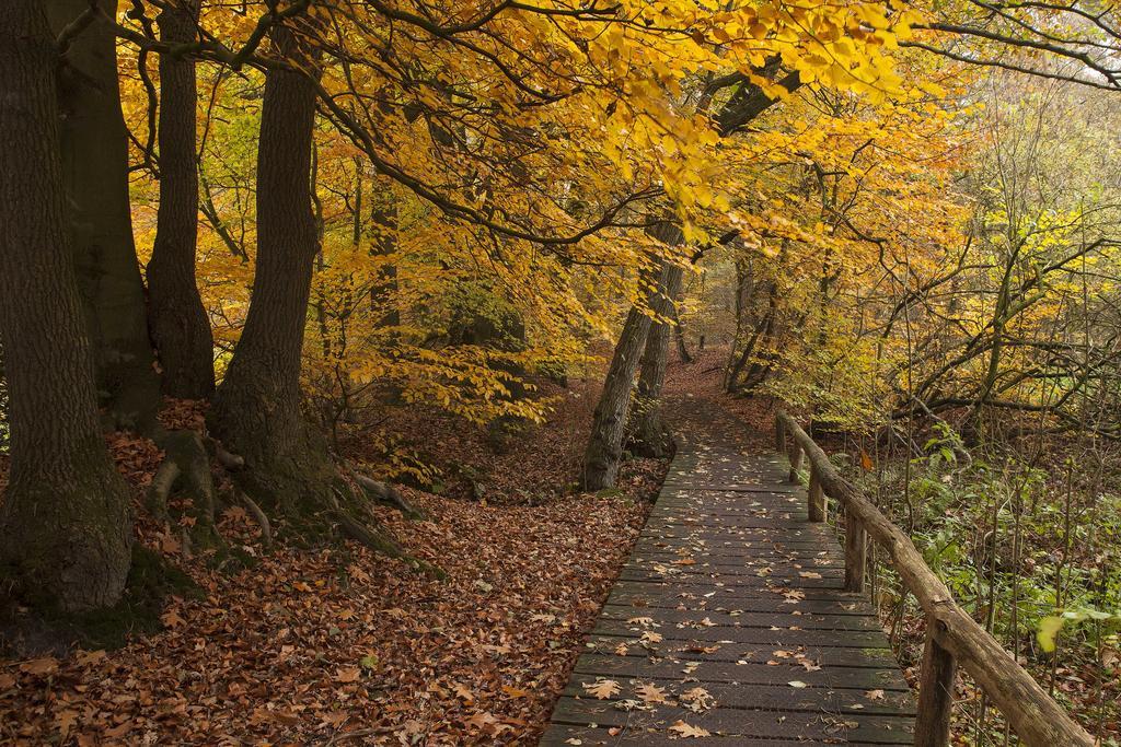 Hoeve Springendal Ootmarsum Εξωτερικό φωτογραφία