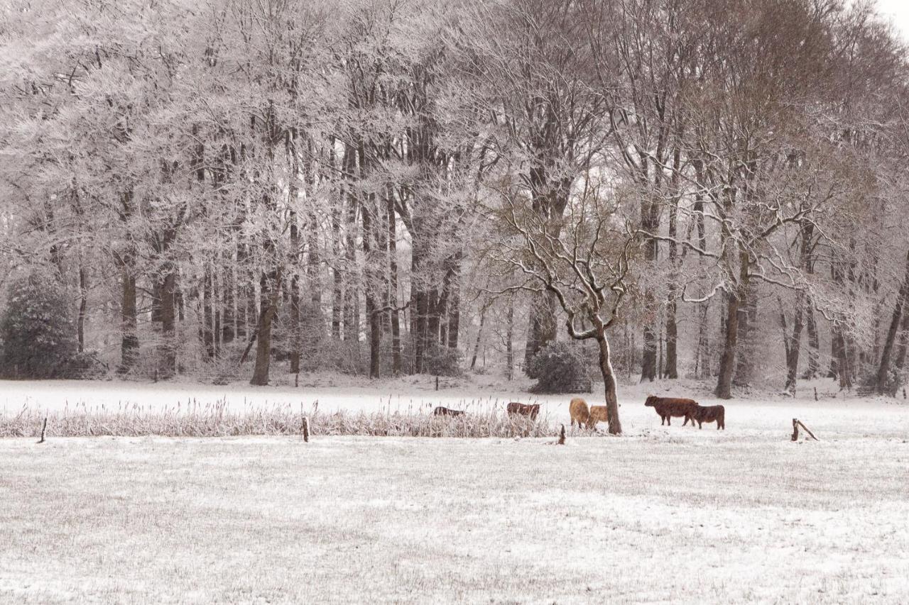 Hoeve Springendal Ootmarsum Εξωτερικό φωτογραφία