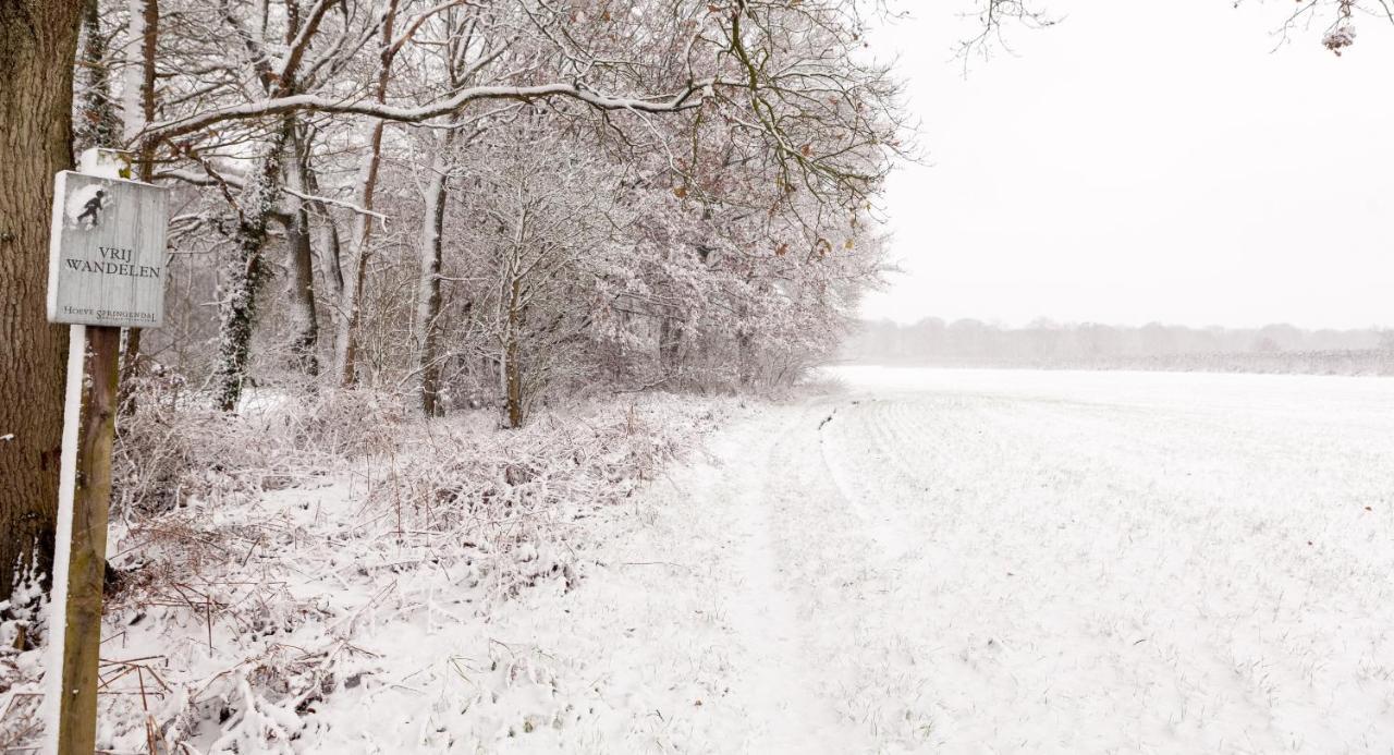 Hoeve Springendal Ootmarsum Εξωτερικό φωτογραφία